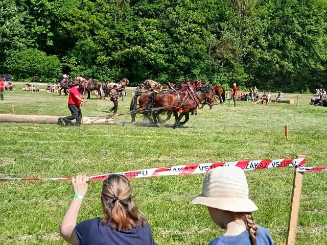 IMG_20260523_150145
